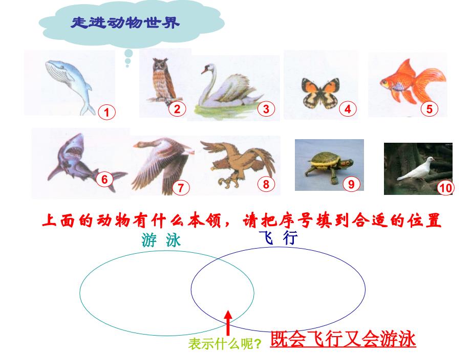 (人教新课标)三年级数学下册课件_数学广角—重叠问题_第4页