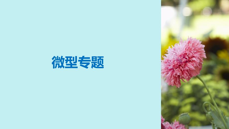 2018-2019学年高中生物 第四章 生物的变异 微专题五 生物的变异的解题方法课件 浙科版必修2_第4页