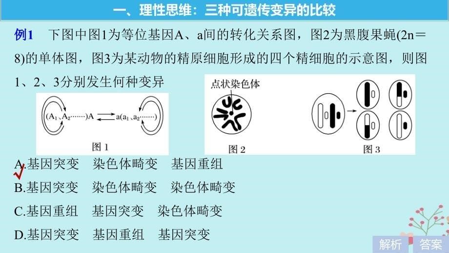 2018-2019学年高中生物 第四章 生物的变异 微专题五 生物的变异的解题方法课件 浙科版必修2_第5页