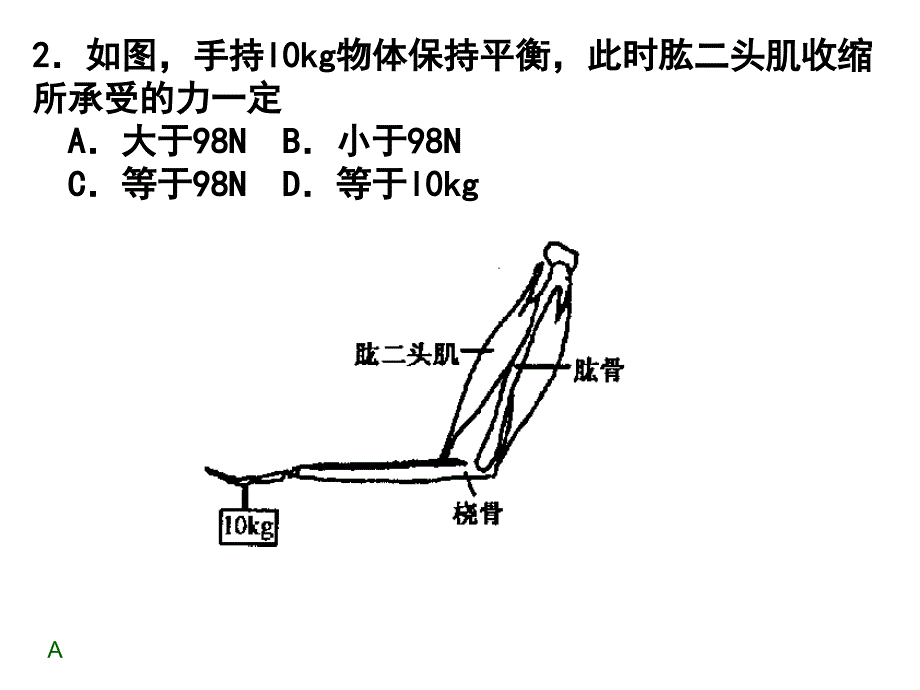 苏科版九年级上册物理期中复习习题课件（81张PPT）_第3页