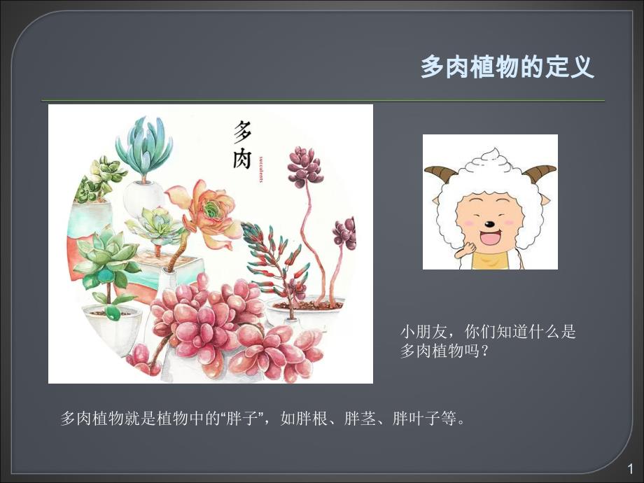 多肉植物幼儿园课件_第1页