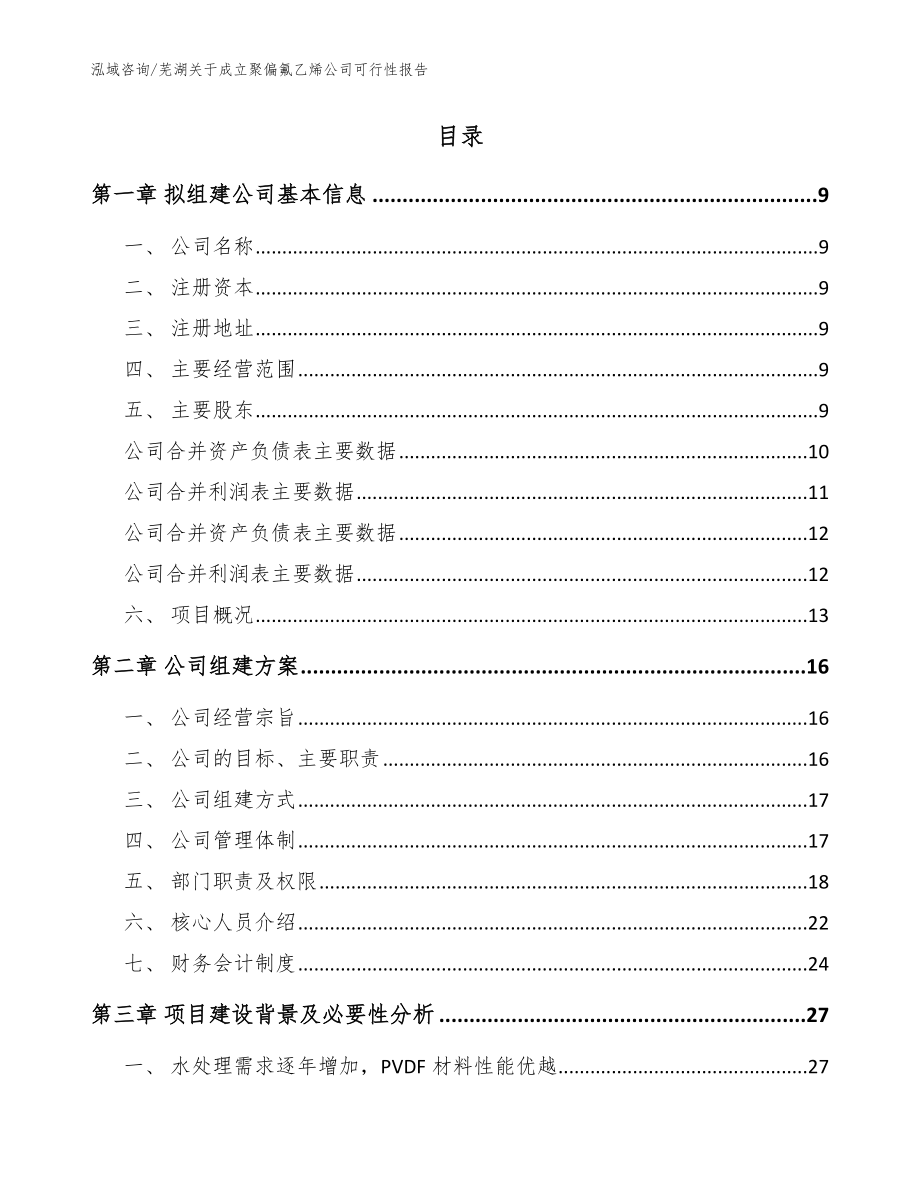 芜湖关于成立聚偏氟乙烯公司可行性报告_范文模板_第2页