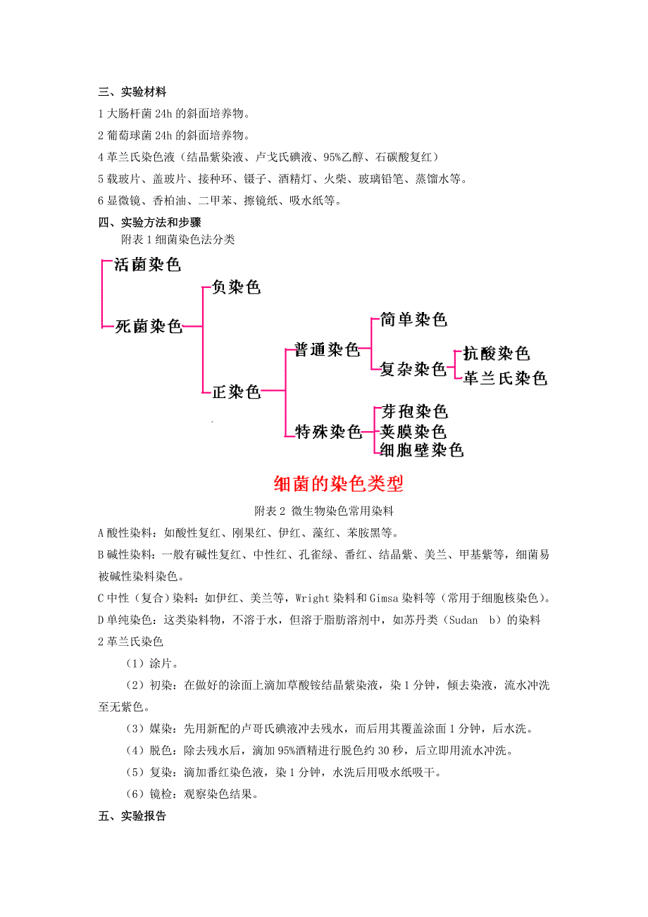 微生物学实验教案_第4页