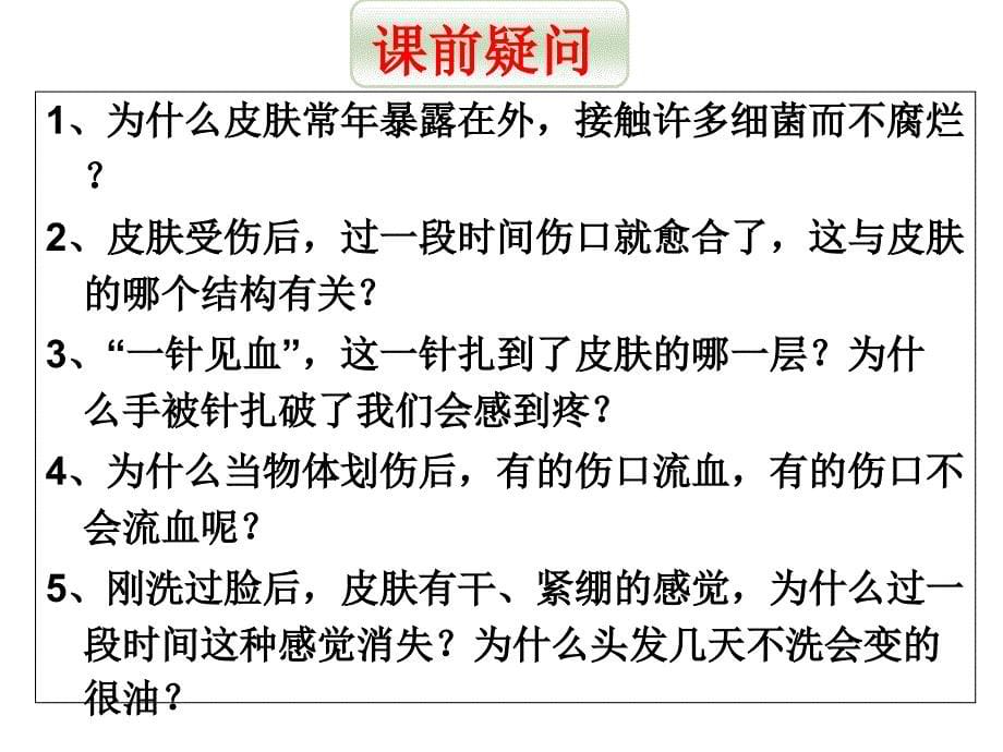 鲁科五四学制课标版初中生物七年级上册教案第四单元第五章第二节汗液的形成和排出_第5页