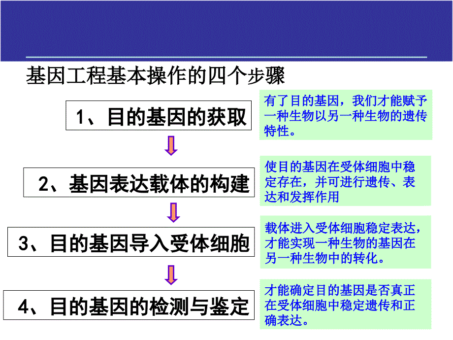 1.2基因工程的基本操作程序_第2页