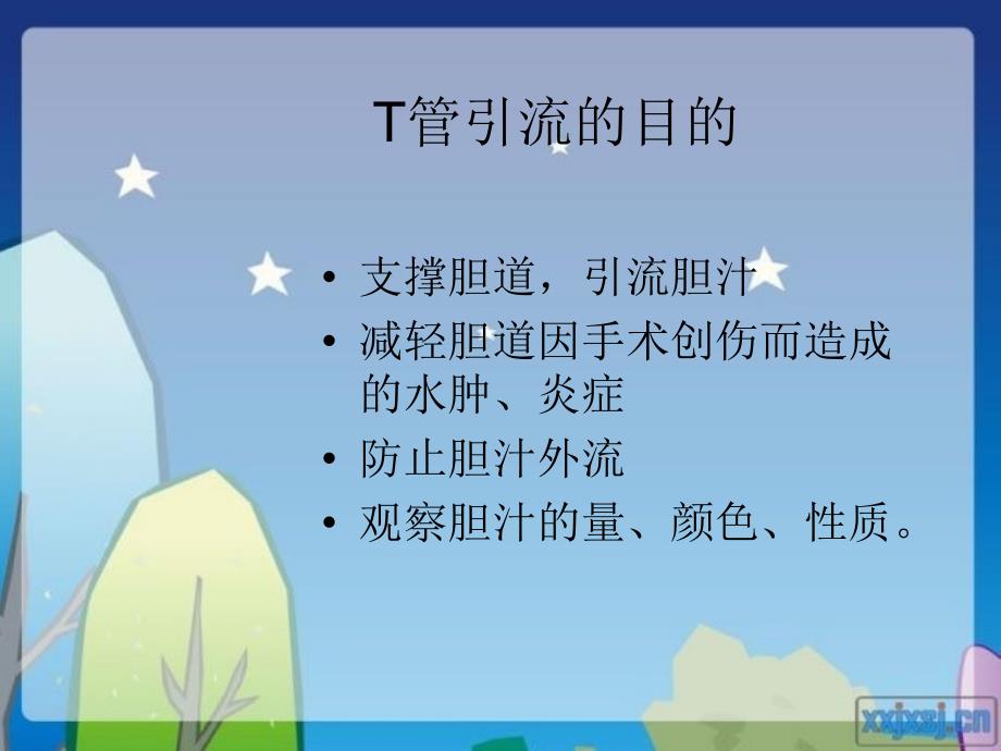 最新T型管护理PPT文档_第2页