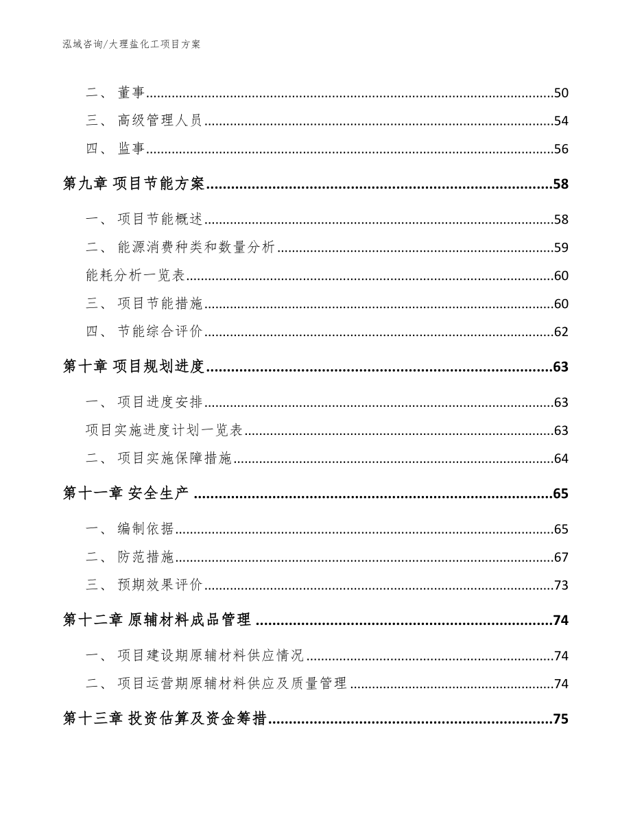 大理盐化工项目方案_参考模板_第3页