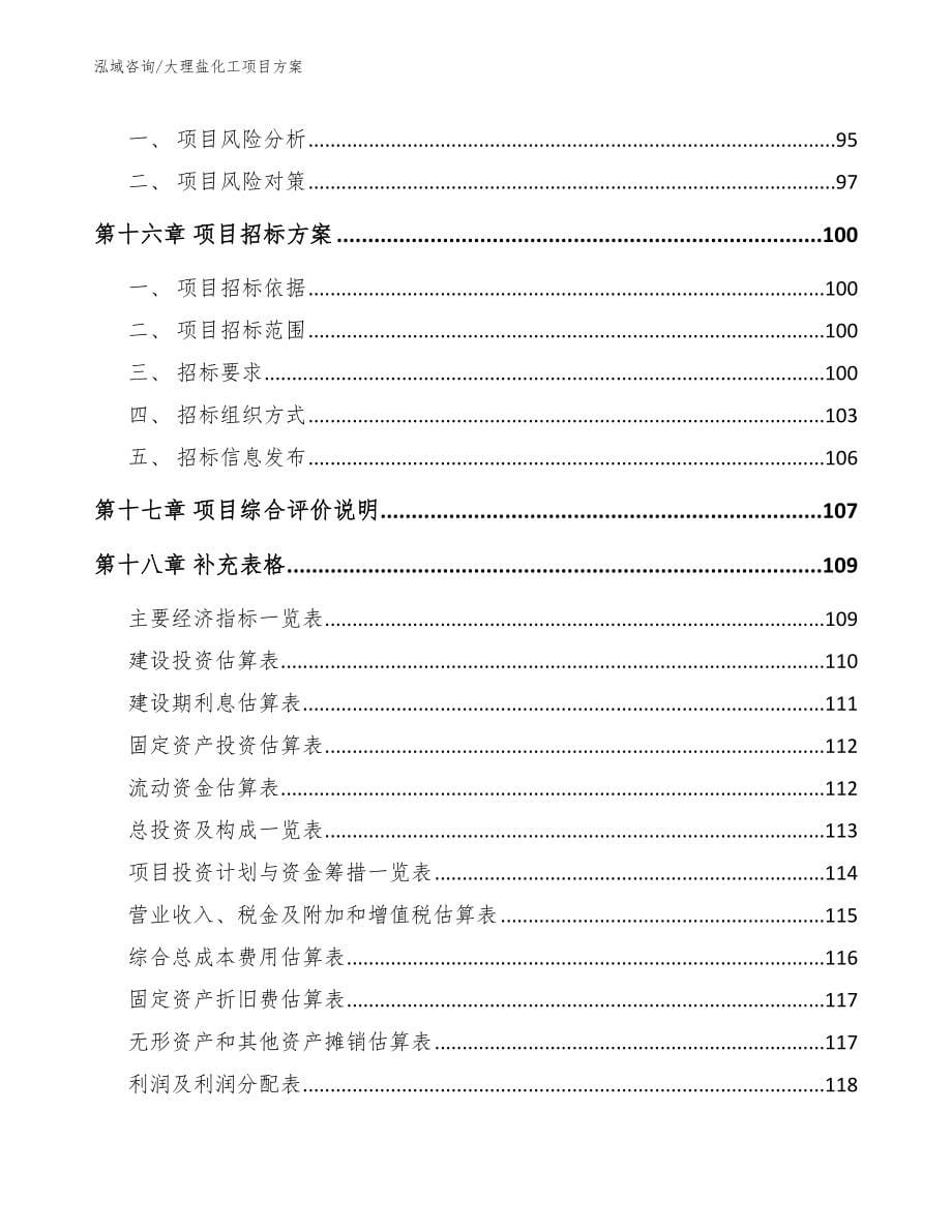 大理盐化工项目方案_参考模板_第5页