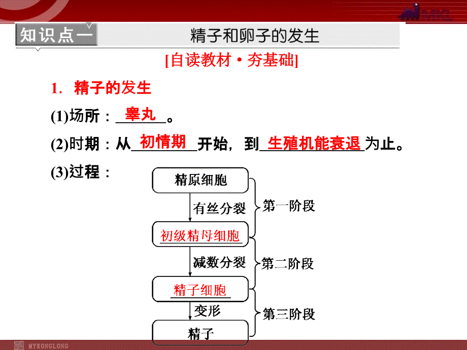 专题331体内受精和早期胚胎发育_第4页