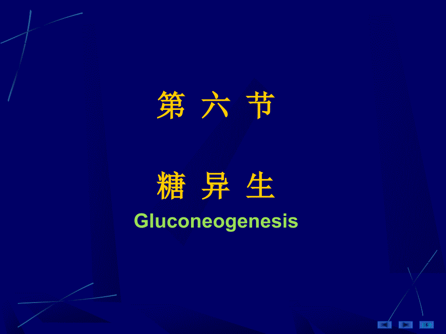 生物化学课件：五年制第06章糖代谢-4_第1页