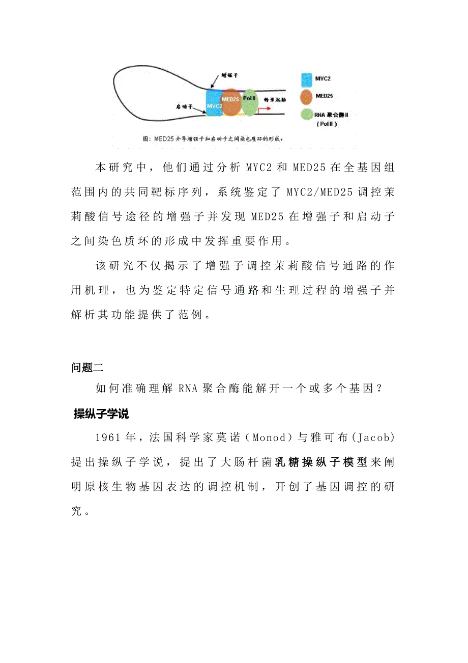 基因表达问题释疑.docx_第4页