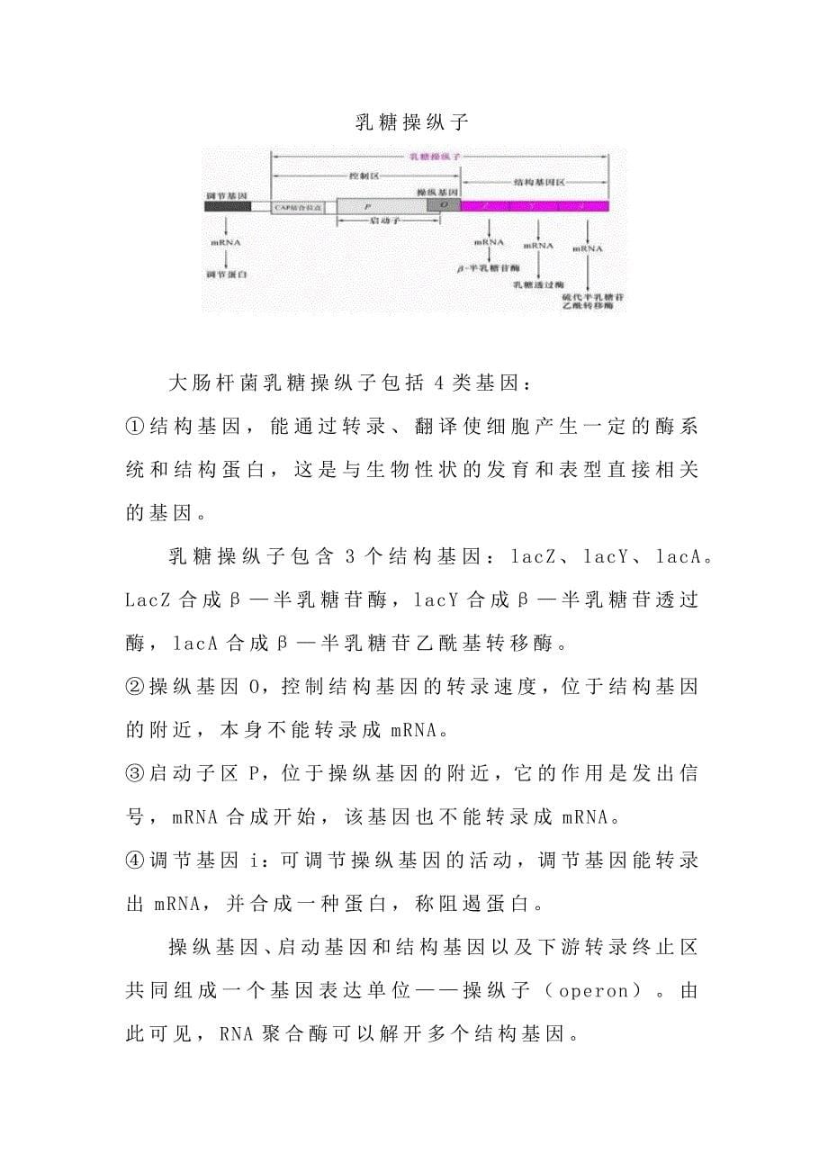 基因表达问题释疑.docx_第5页