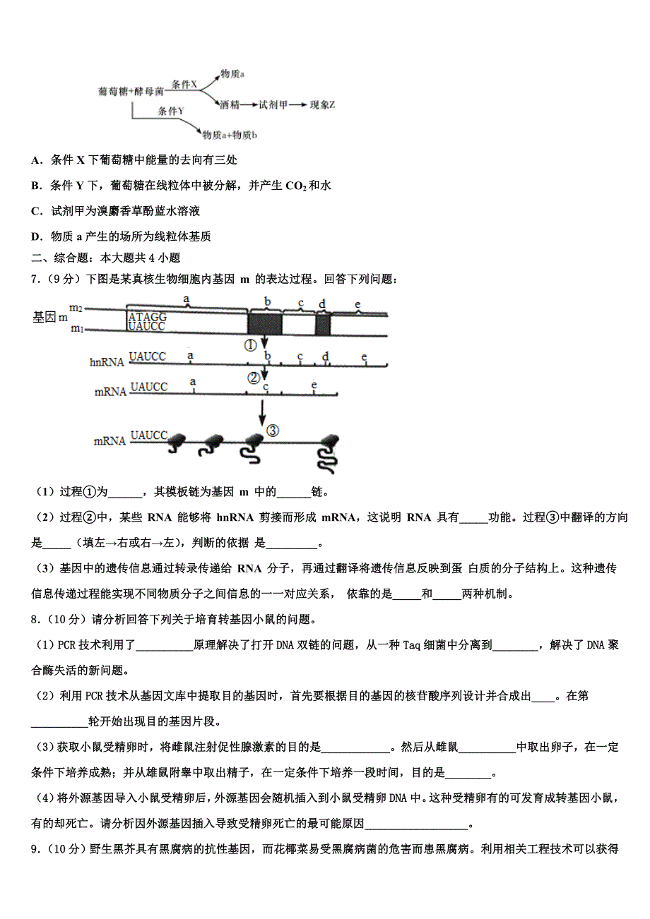 2023届江苏省扬州市梅岭中学高二生物第二学期期末预测试题（含解析）.doc_第2页