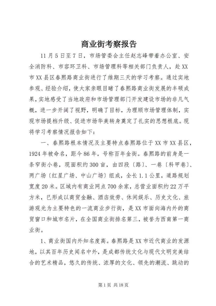 2023年商业街考察报告.docx_第1页