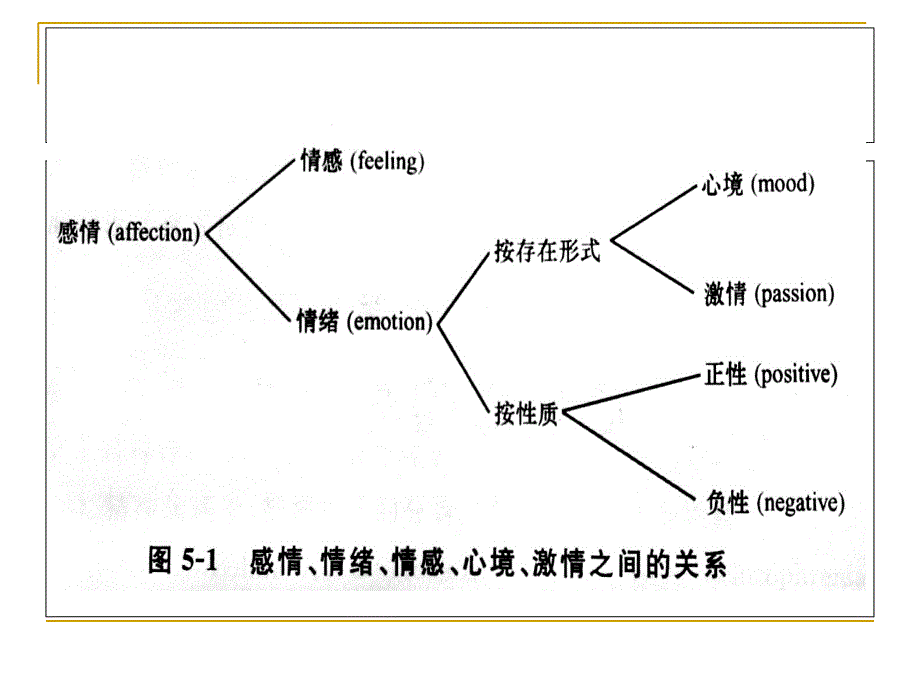 变态心理学第9章_第2页