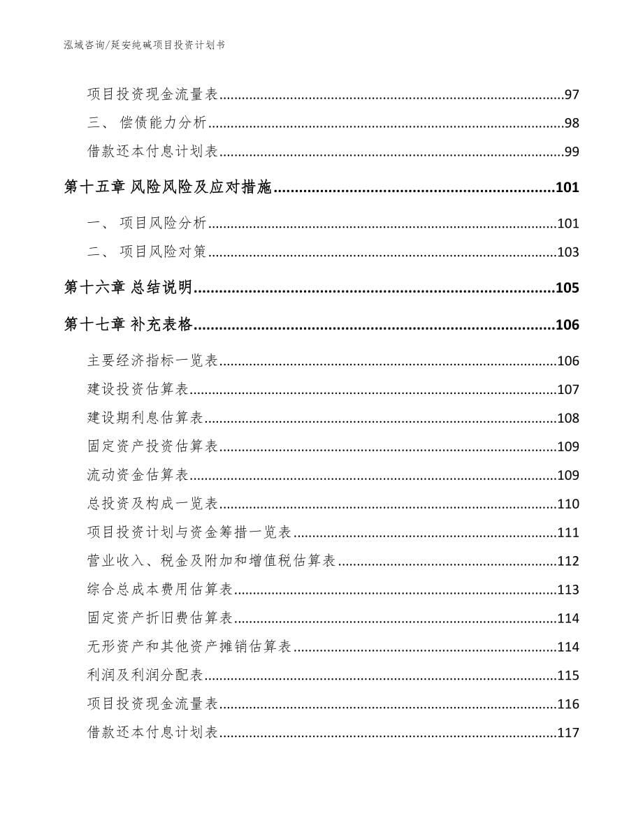 延安纯碱项目投资计划书【范文模板】_第5页