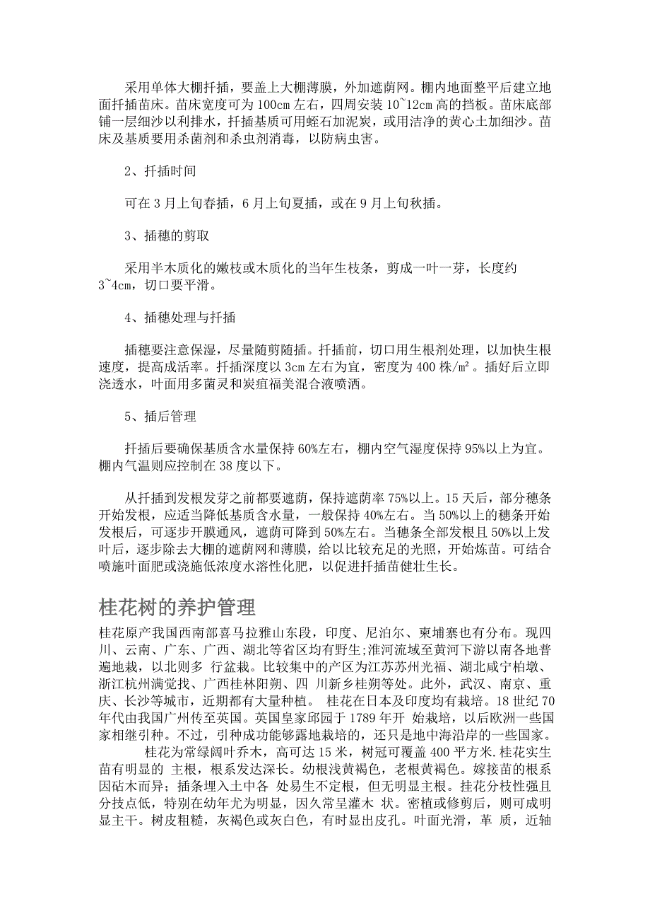 红叶石楠栽培.doc_第2页