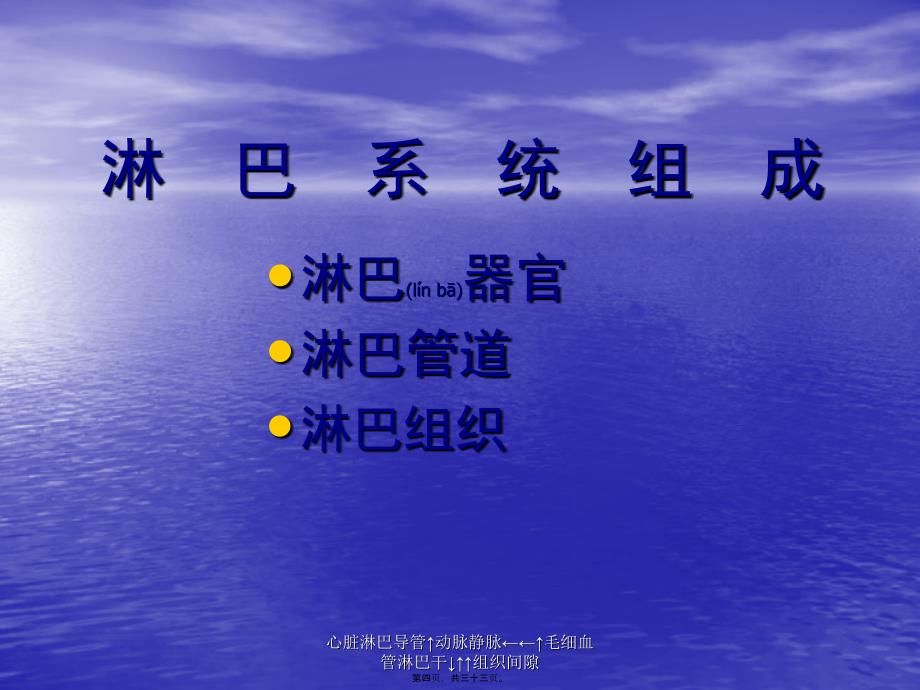 心脏淋巴导管↑动脉静脉←←↑毛细血管淋巴干↓↑↑组织间隙课件_第4页