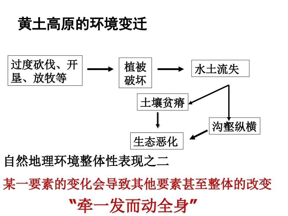 32自然地理环境的整体性_第5页