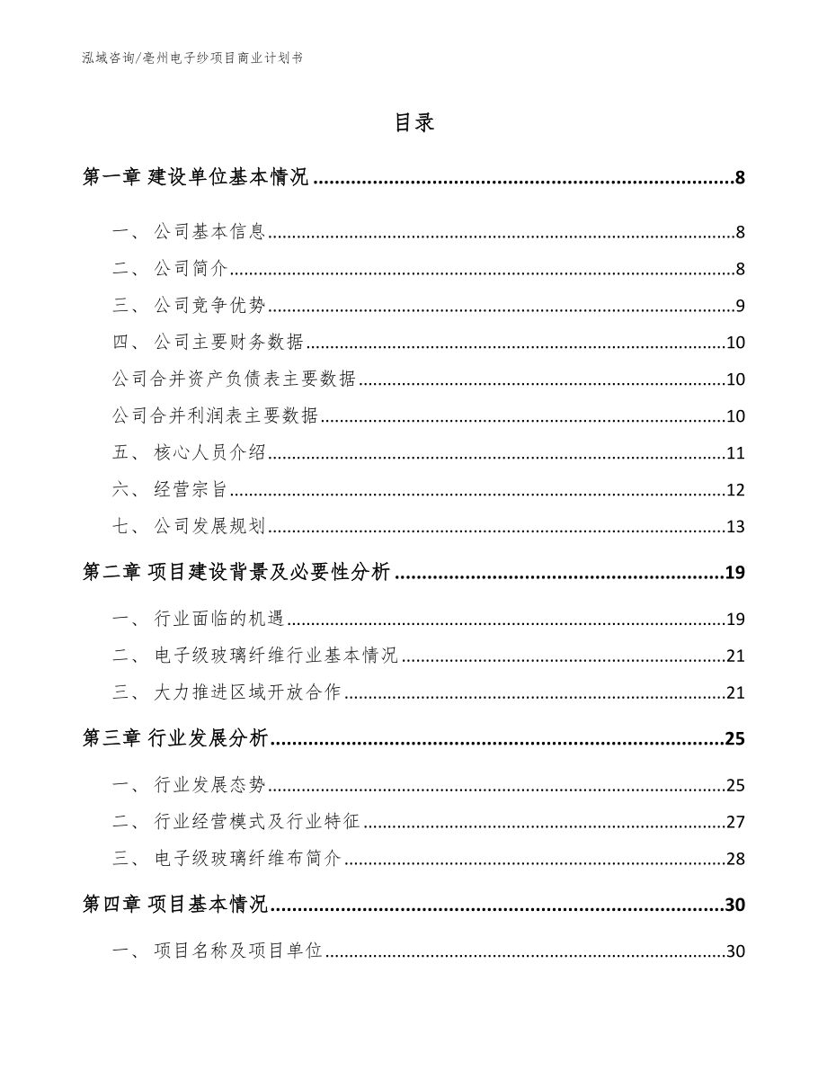 亳州电子纱项目商业计划书_第2页