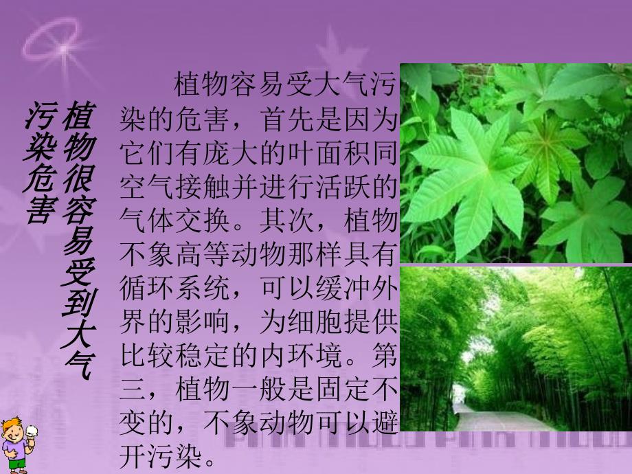 大气污染对植物的危害.ppt_第2页