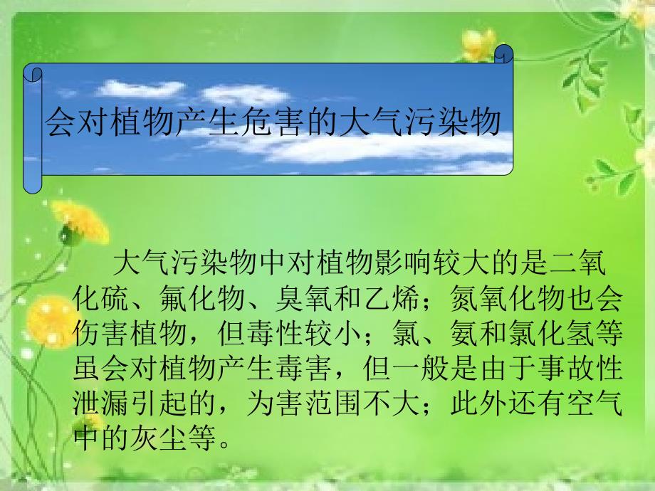 大气污染对植物的危害.ppt_第4页