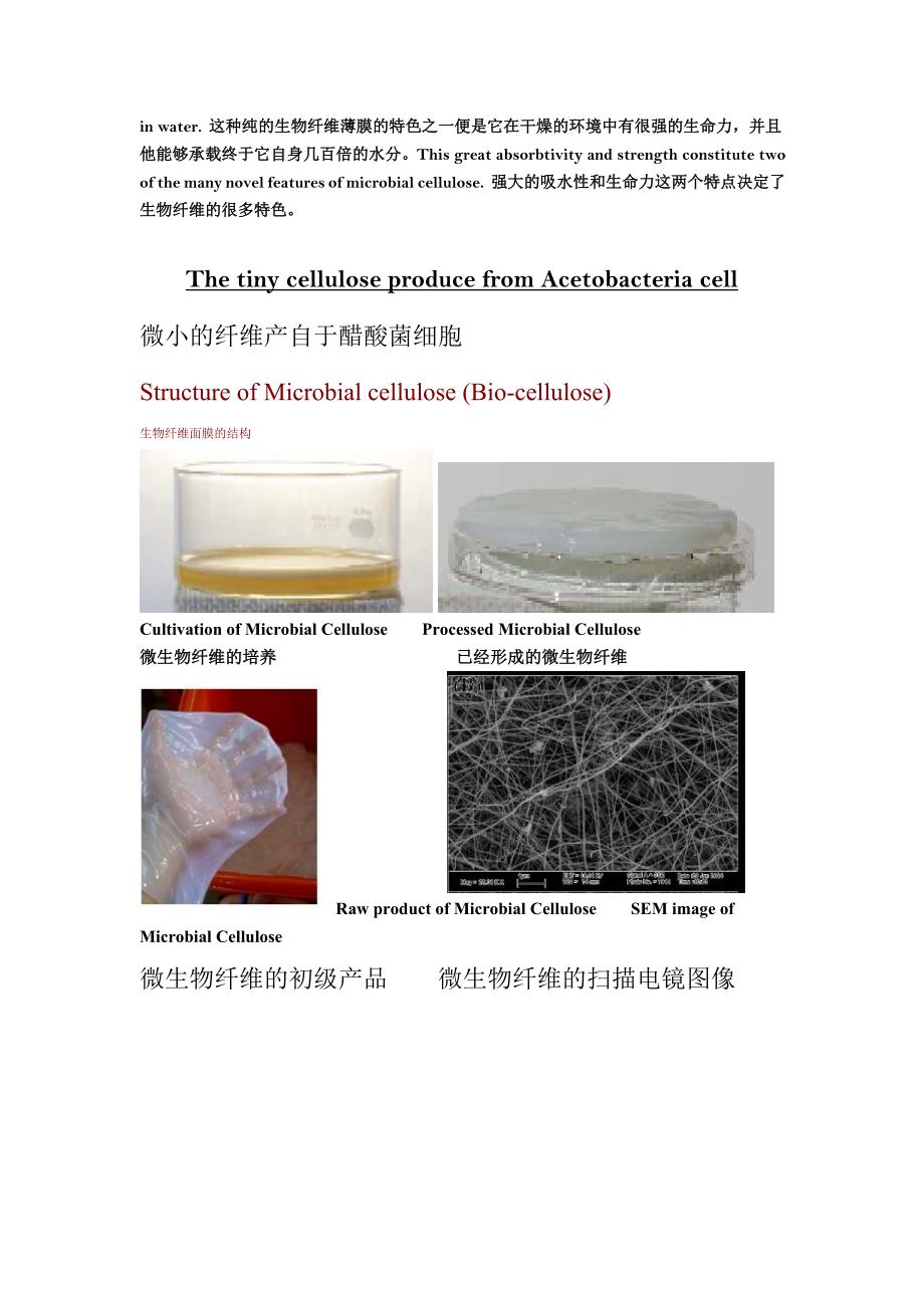 最新的生物纤维面膜中英文资料000.doc_第3页