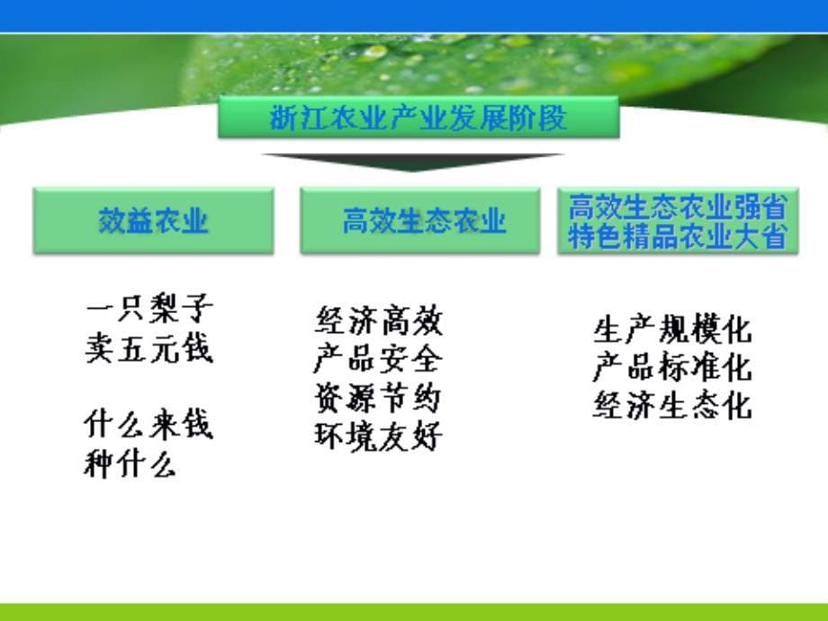 【优秀讲座课件】推进现代农业园区建设加快农业发展方式转变上_第5页