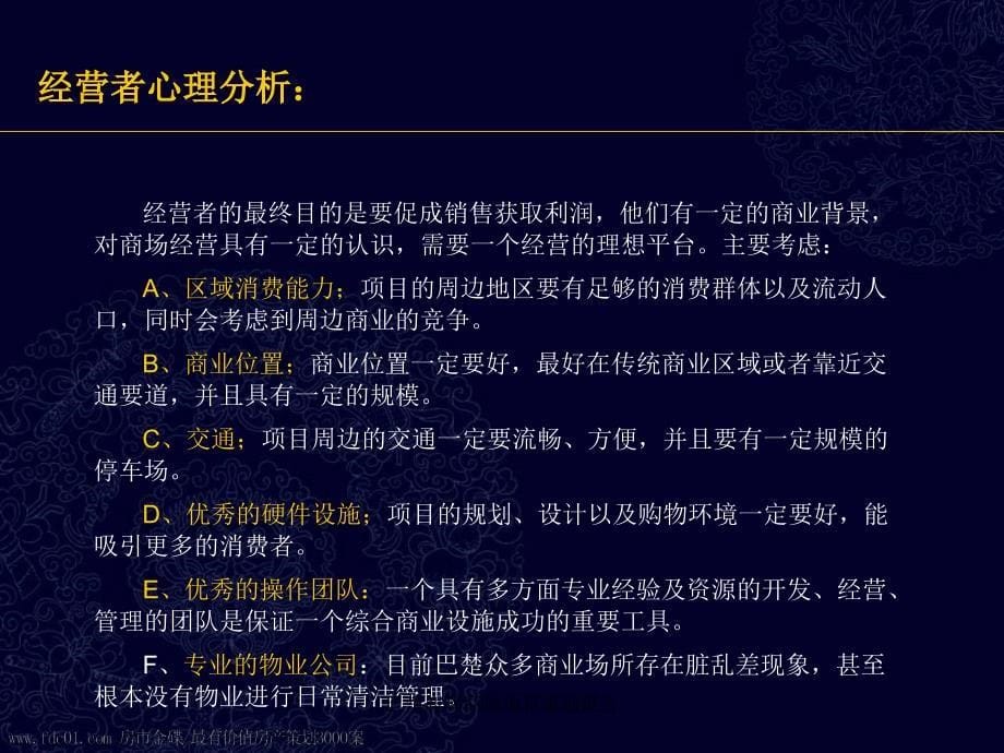 巴楚鹿晖商场项目策划报告课件_第5页