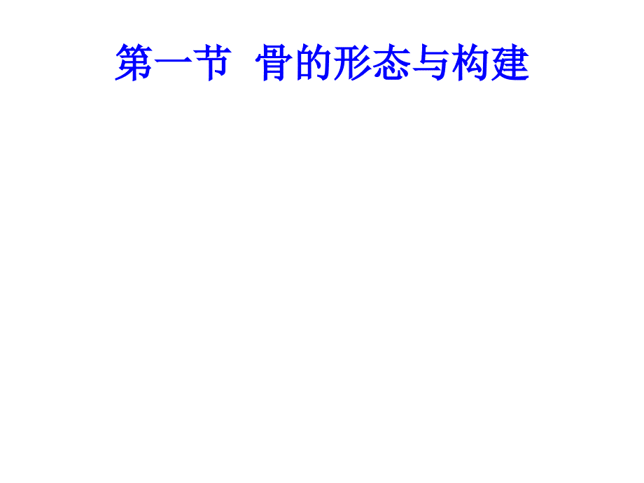 最新：动身伊始骨骼与肌肉ppt课件文档资料_第3页