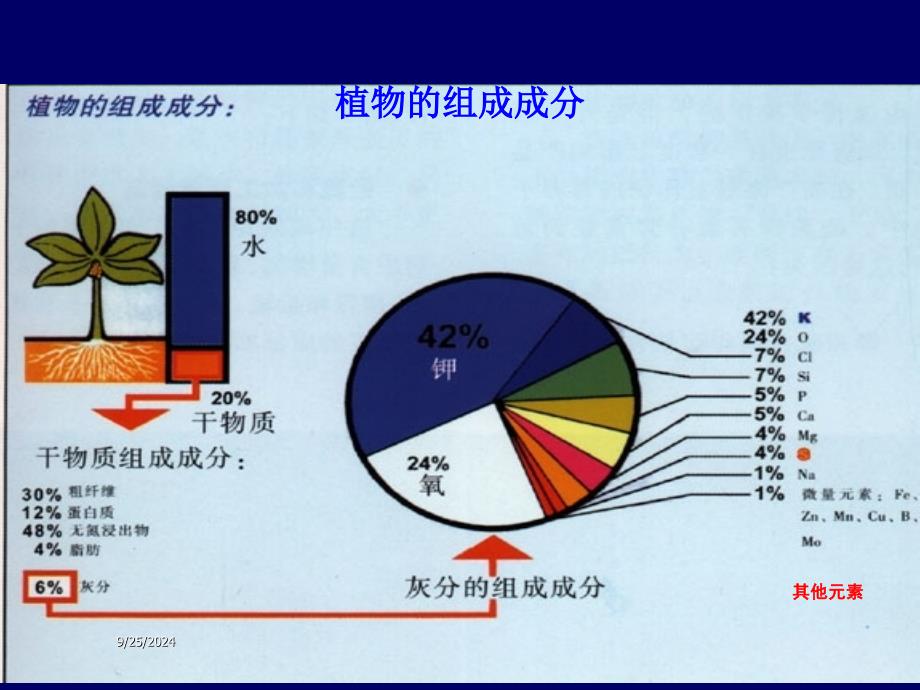 磷酸二氢钾在植物生长中所起作用_第3页