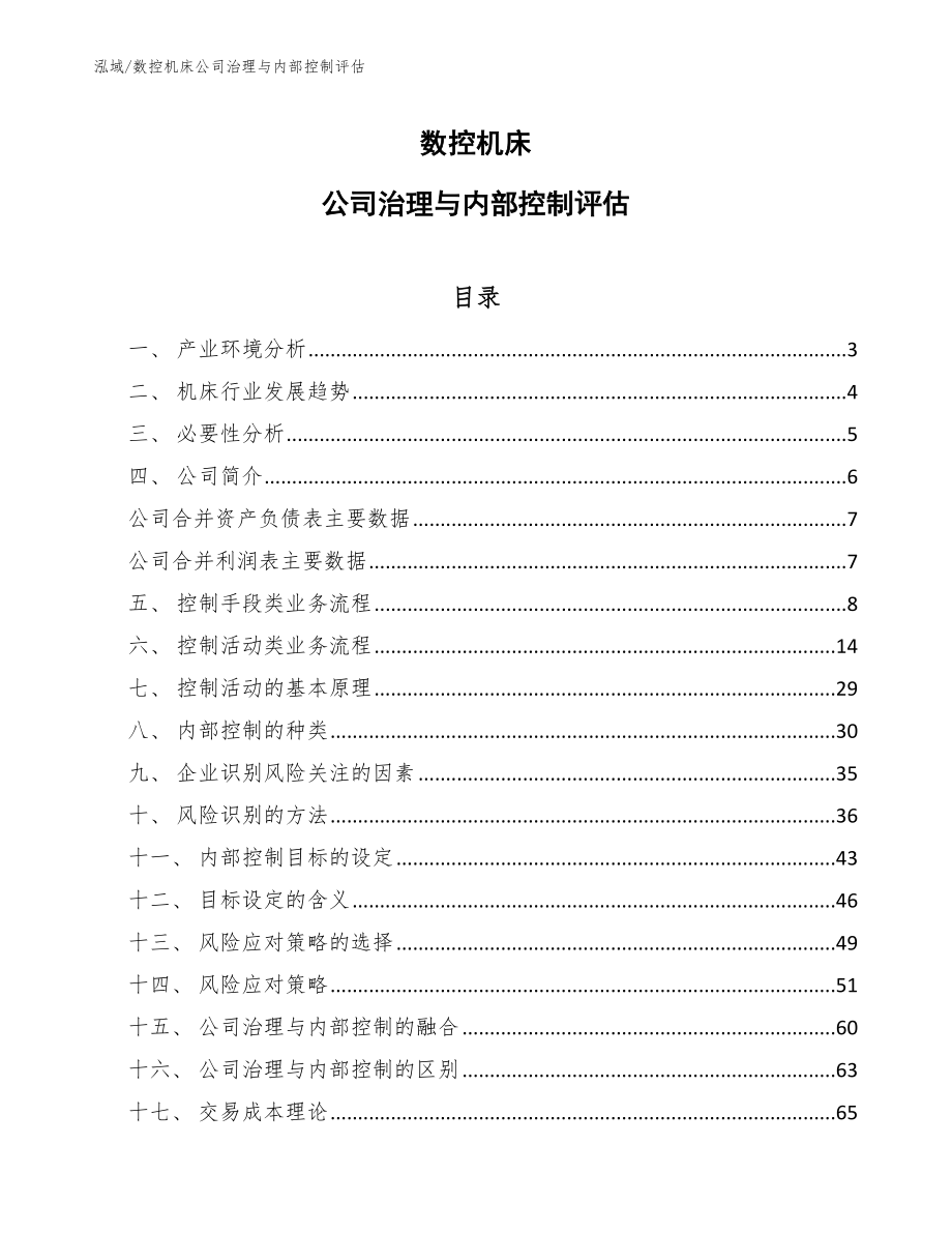 数控机床公司治理与内部控制评估_第1页