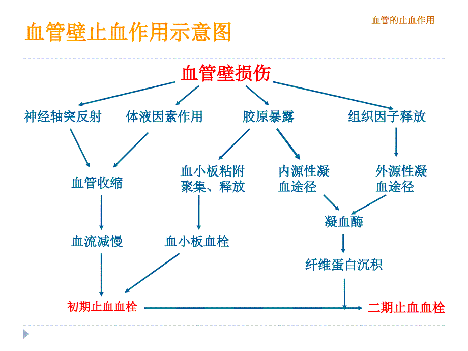 实验诊断学：血栓与止血检验及其应用_第4页