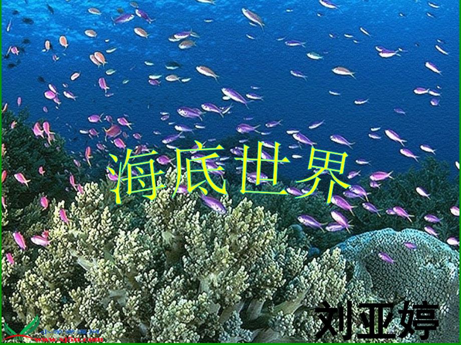 海底世界 (5)_第1页