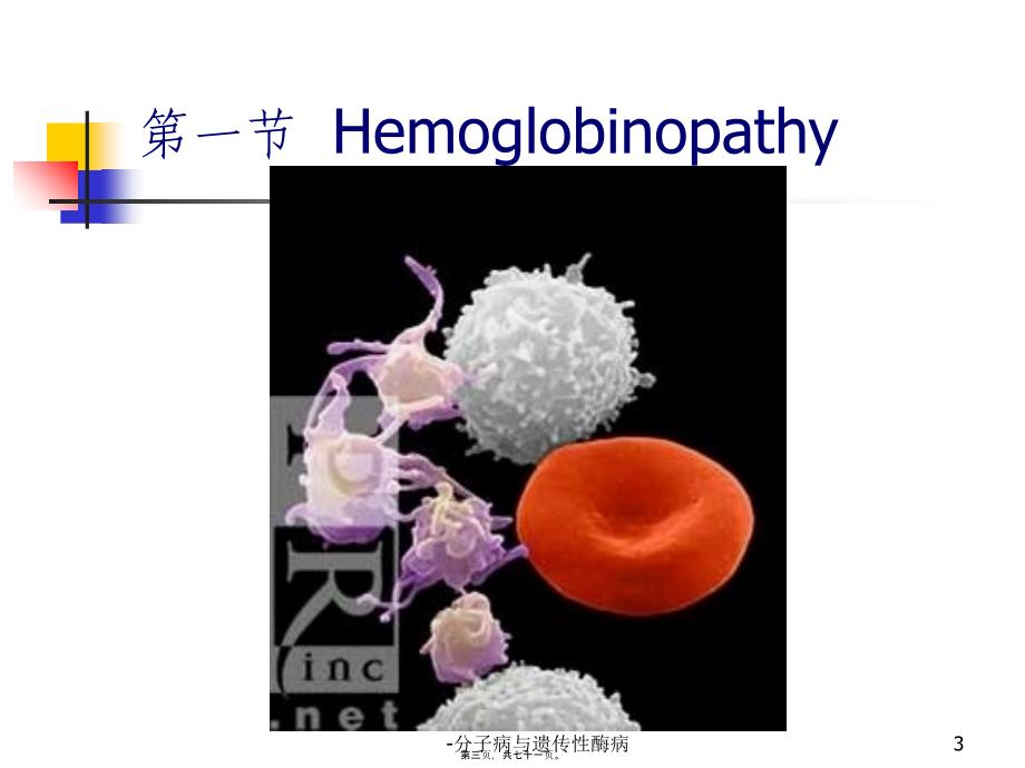 分子病与遗传性酶病课件_第3页