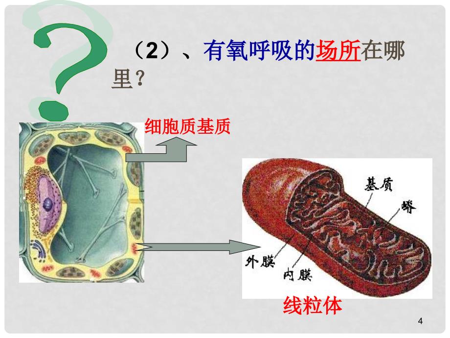 浙江省桐乡市高考生物一轮复习 第三节+ATP的主要来源细胞呼吸课件 新人教版_第4页