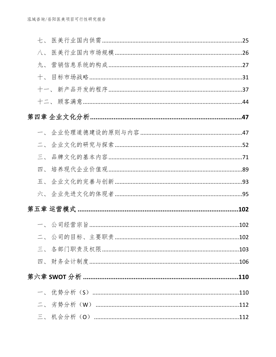 岳阳医美项目可行性研究报告范文参考_第2页