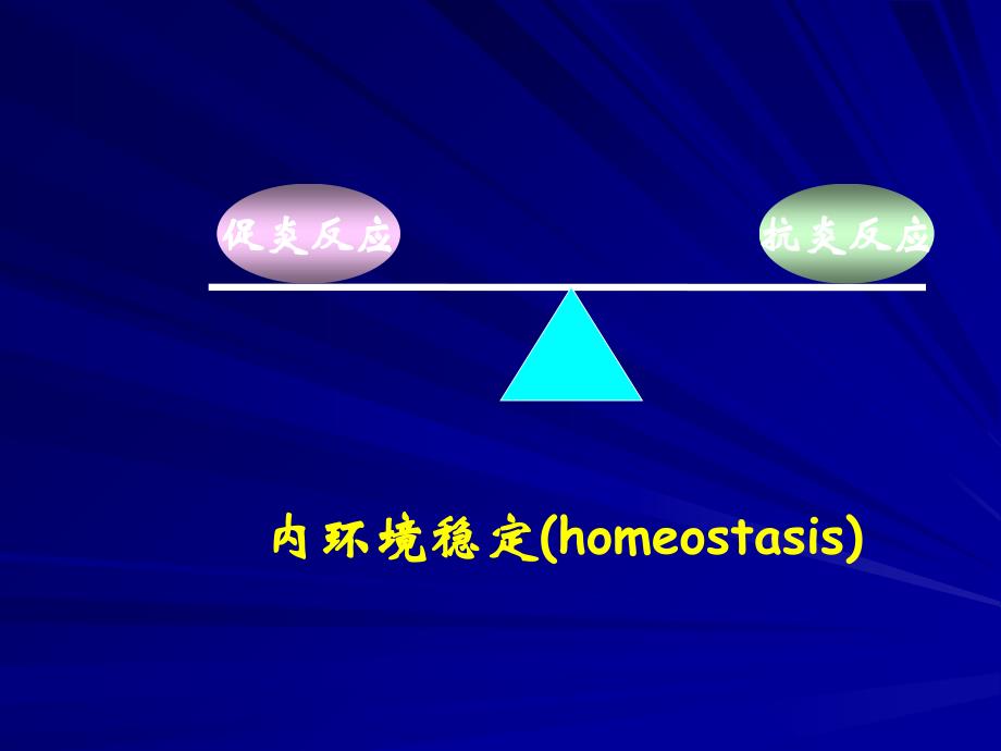 《MODS发病机制》PPT课件_第4页