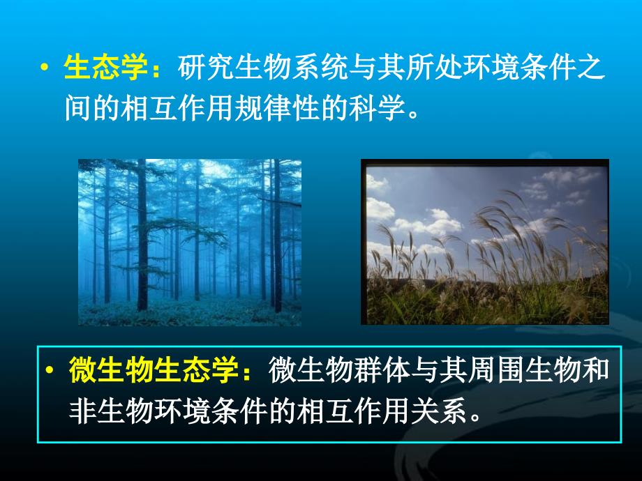 最新微生物的生态与分类PPT课件_第2页