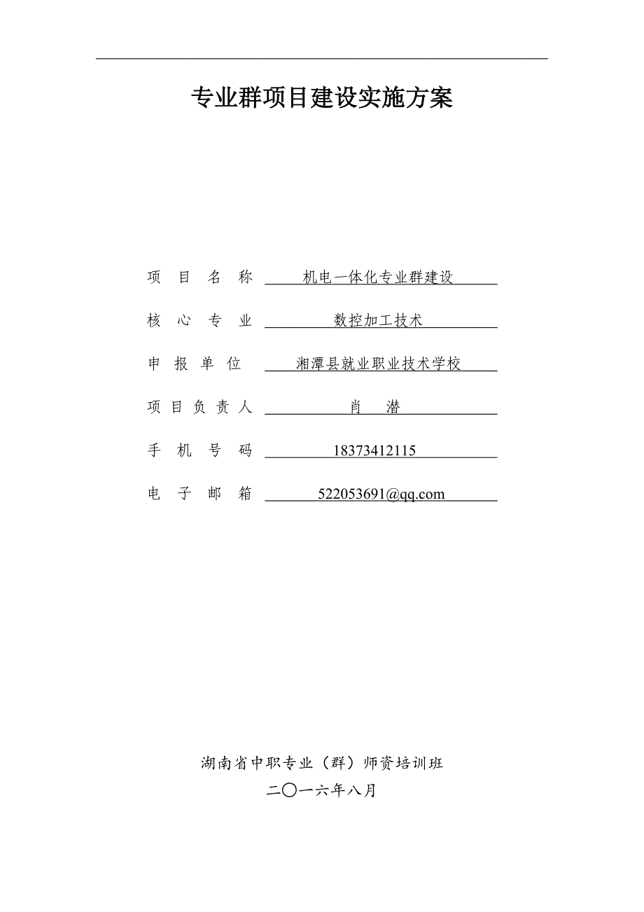 专业群项目建设实施方案.docx_第1页