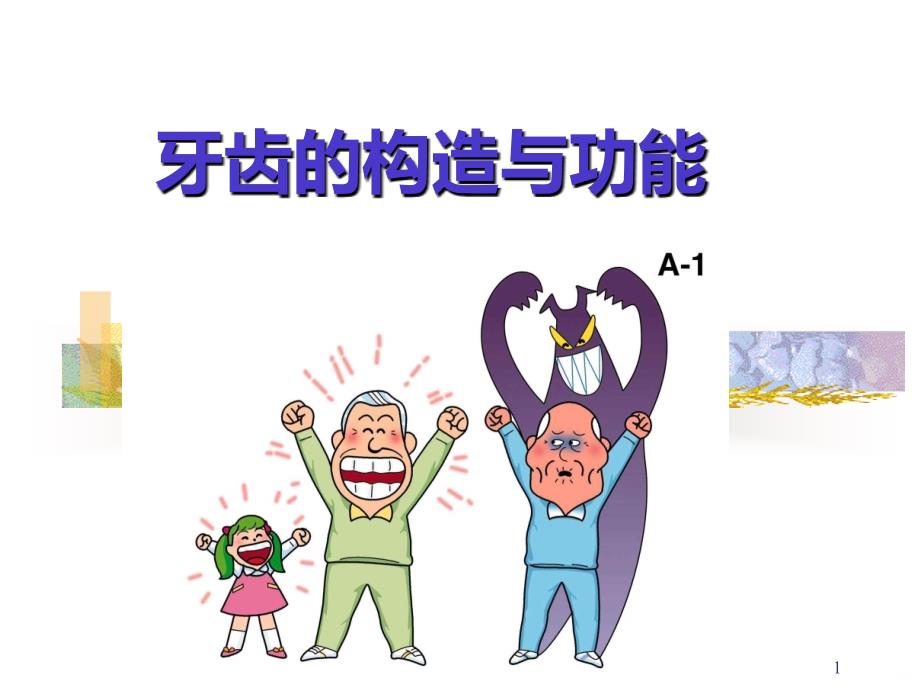 牙齿专题教育PPT课件.ppt_第1页