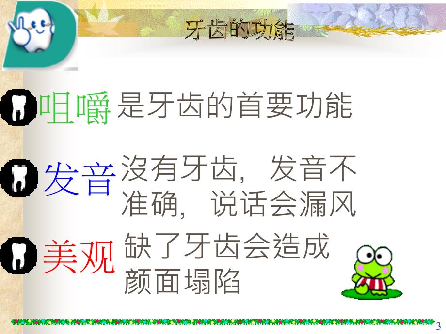 牙齿专题教育PPT课件.ppt_第3页