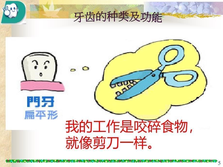 牙齿专题教育PPT课件.ppt_第5页