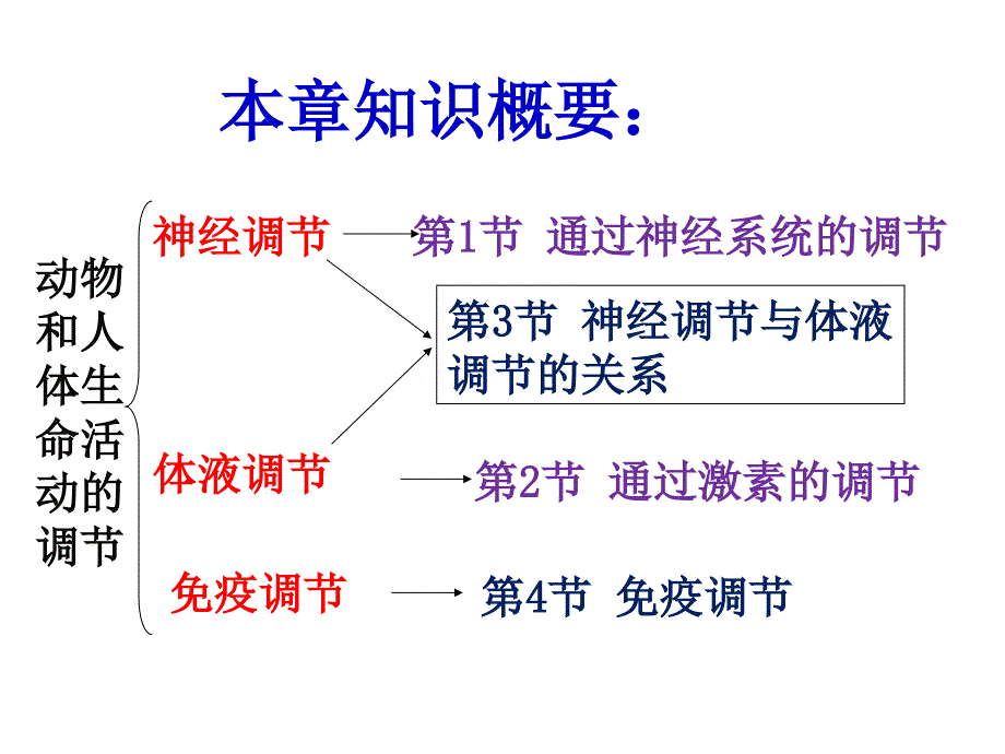 最新通过神经系统的调节上课很实用PPT文档_第1页