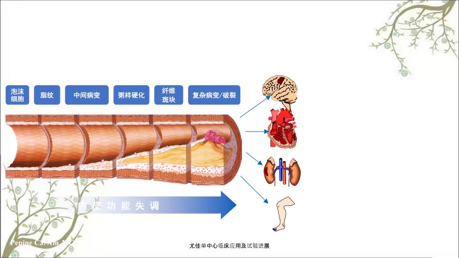 尤佳单中心临床应用及试验进展_第2页