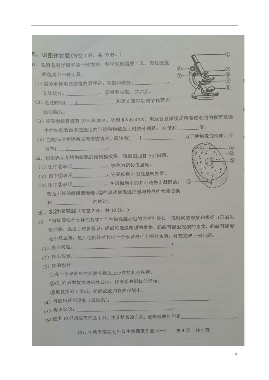 广西壮族自治区钦州市2017-2018学年七年级生物上学期课堂作业（一）（扫描版） 新人教版_第4页