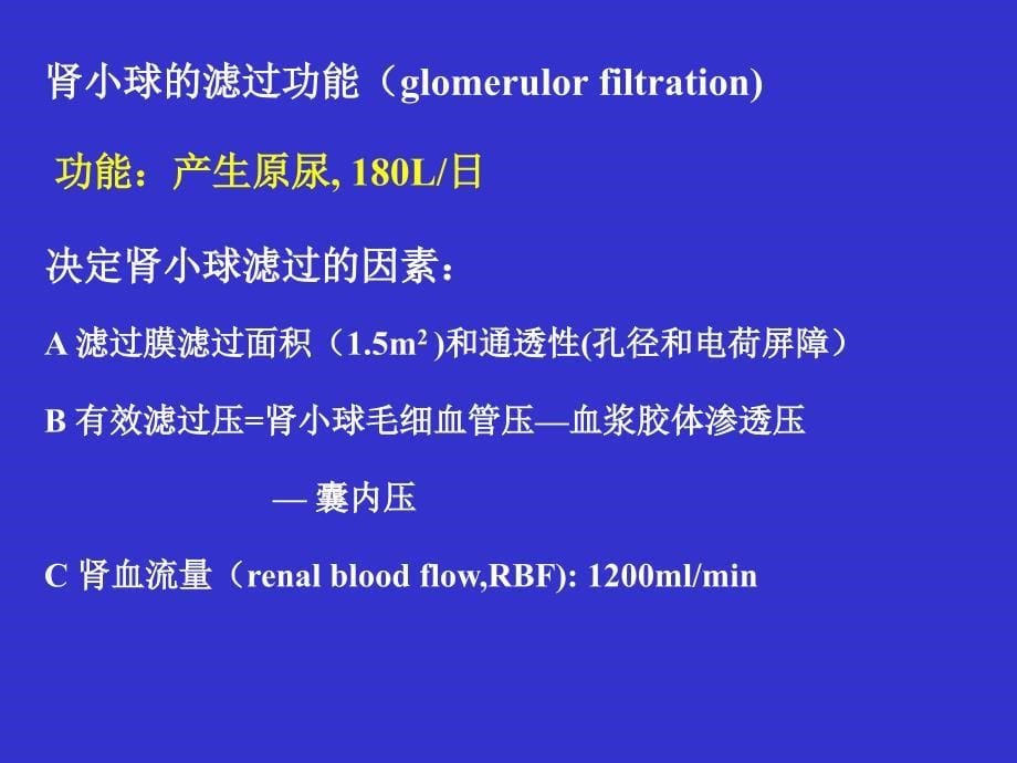 《肾功能医学本科生》PPT课件_第5页