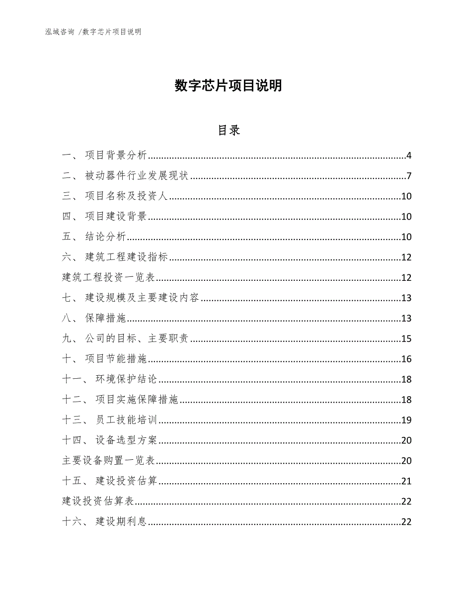 数字芯片项目说明_第1页