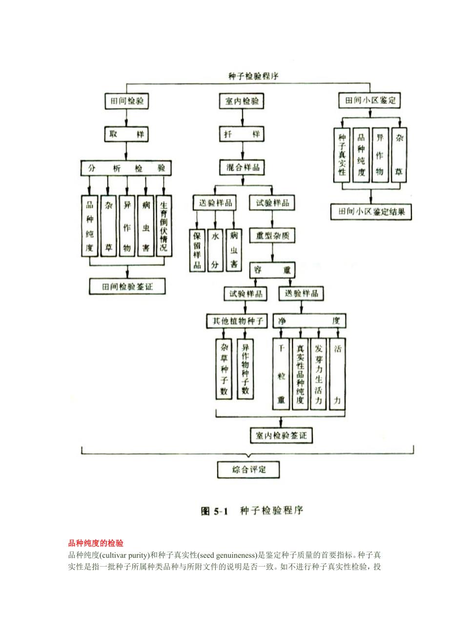 种子检验程序.doc_第2页