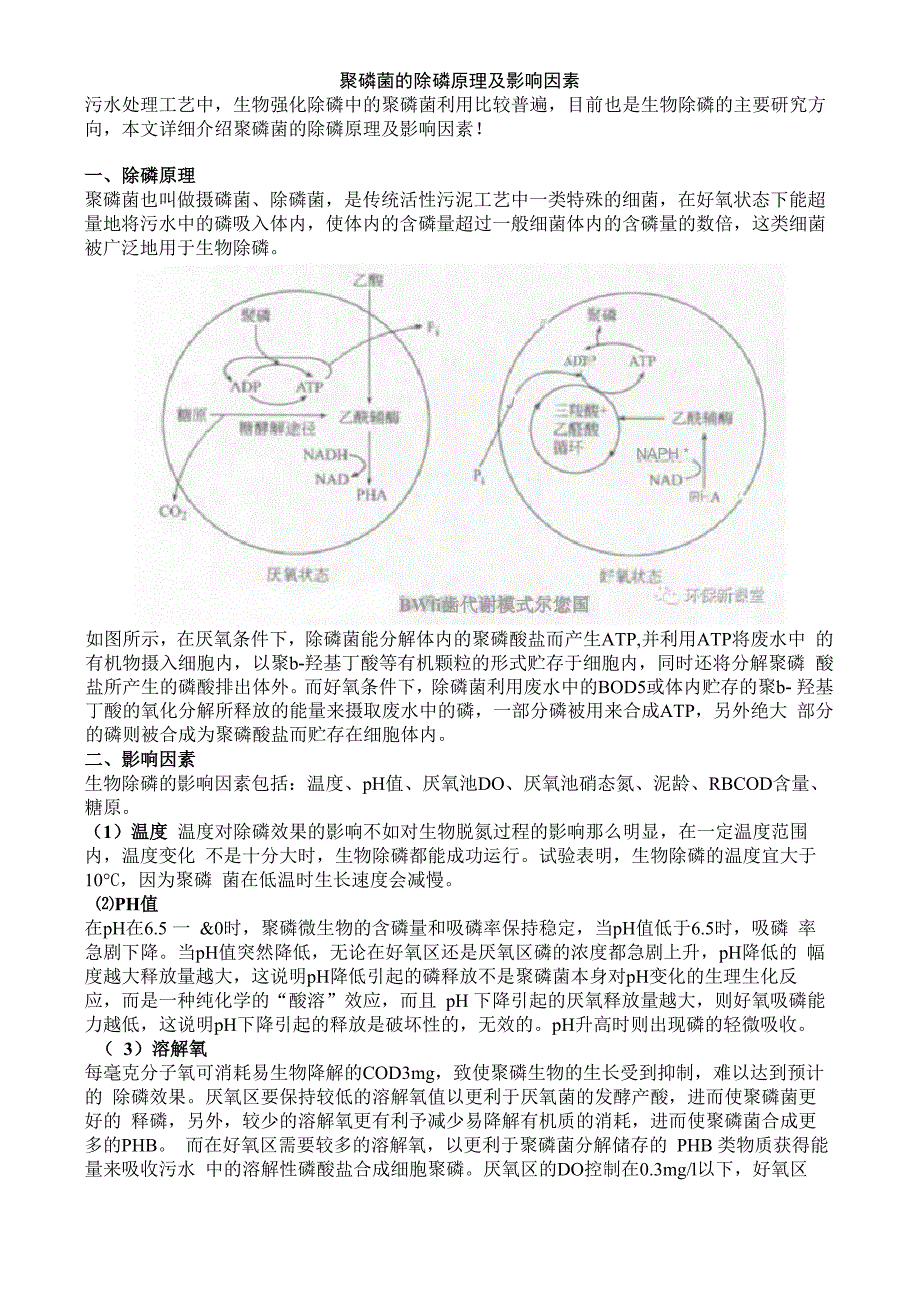 聚磷菌的除磷原理及影响因素_第1页